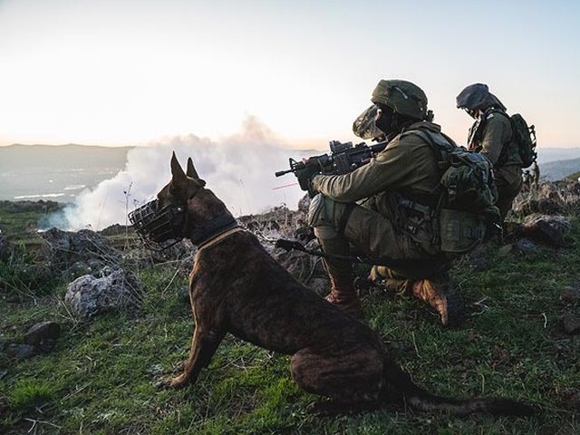 В Ливане военнослужащая подразделения "Окец" ликвидировала террориста, погибла служебная собака
