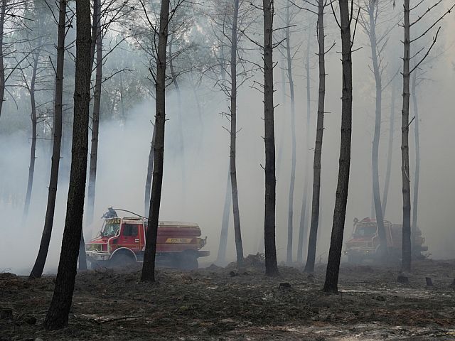 Лесные пожары выявили сотни снарядов Второй мировой войны во французских деревнях