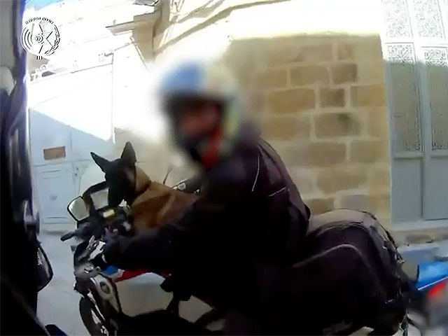 Задержан мотоциклист, катавший на баке собаку по Старому городу в Иерусалиме