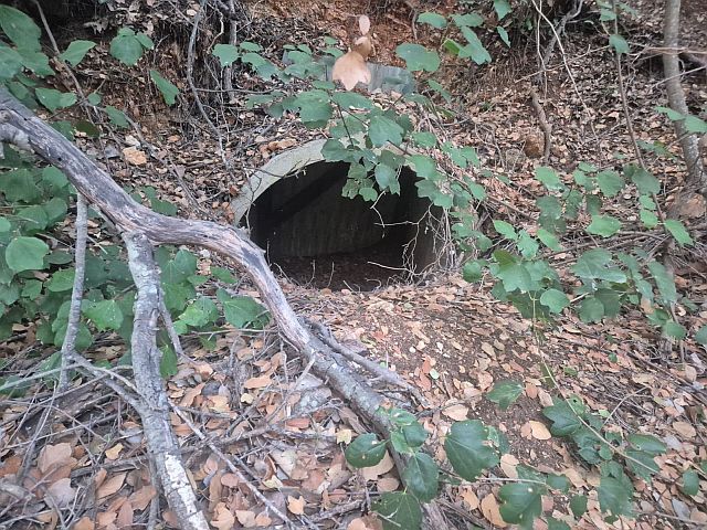 В Южном Ливане обнаружены ракетные установки, нацеленные на Израиль. Фото, видео