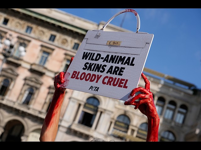 Акция PETA на площади Дуомо