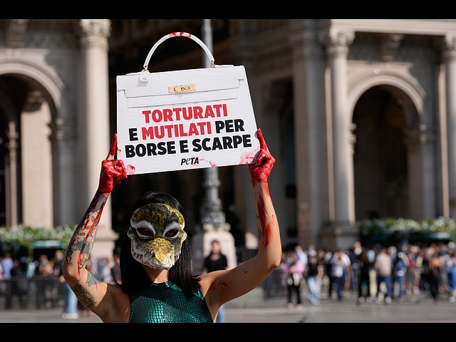 Акция PETA на площади Дуомо