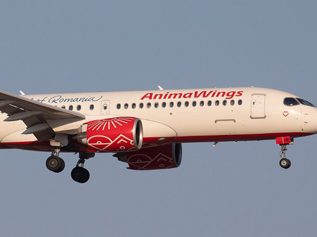 Компания AnimaWings отменила вылеты из Бухареста в Тель-Авив, оставив сотни израильтян в Румынии