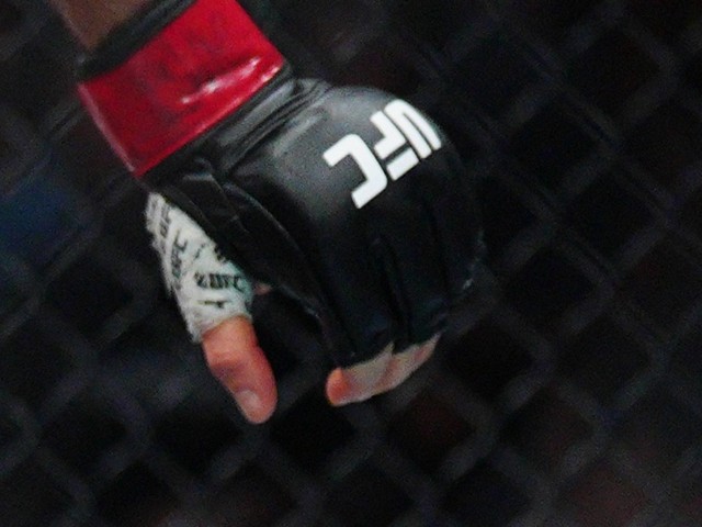 UFC. Ландвера, Маджуба  и Бакли нокаутировали. "Безумного принца" задушили