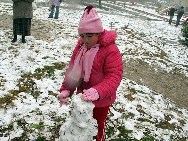 Арад, 2008 год