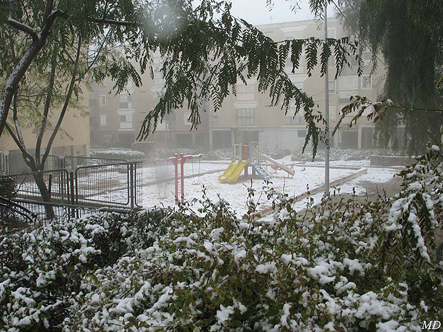 Арад, 2008 год