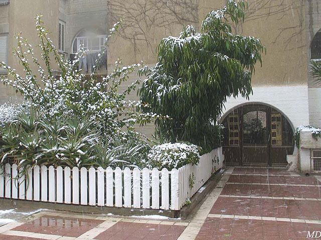 Арад, 2008 год