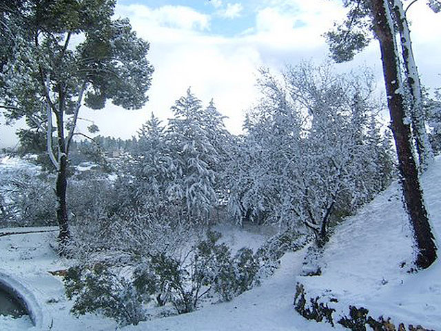 Цфат, 2008 год