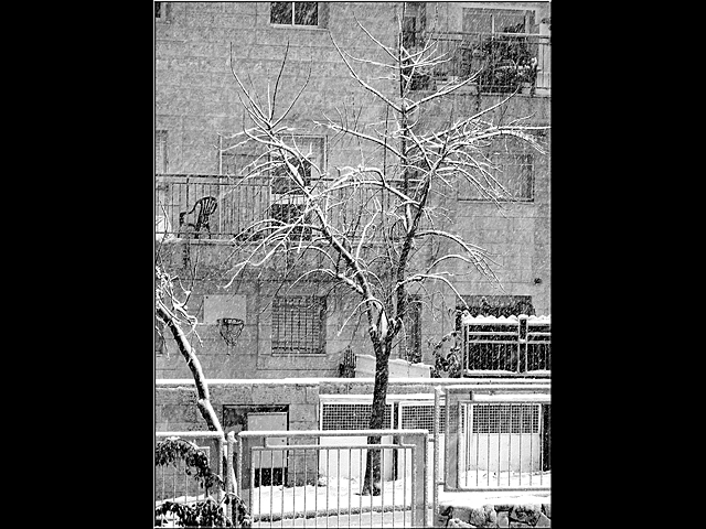 Иерусалим. Писгат-Зеев. 31 января 2008 года