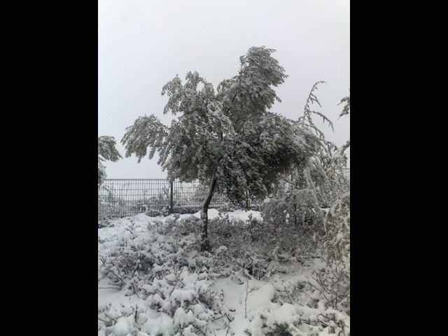 Кирьят Арба. 2 марта 2012 года