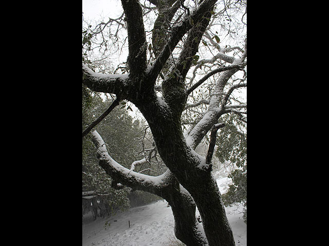 Гора Мирон, 18 февраля 2012