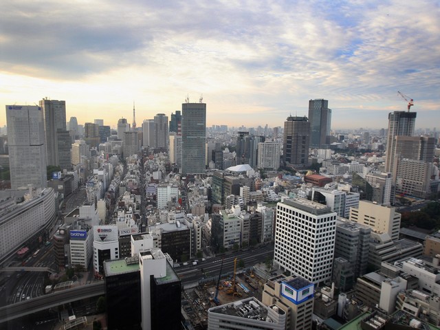 Самым дорогим мегаполисом планеты по стоимости аренды жилья в 2011 году оказался Токио/