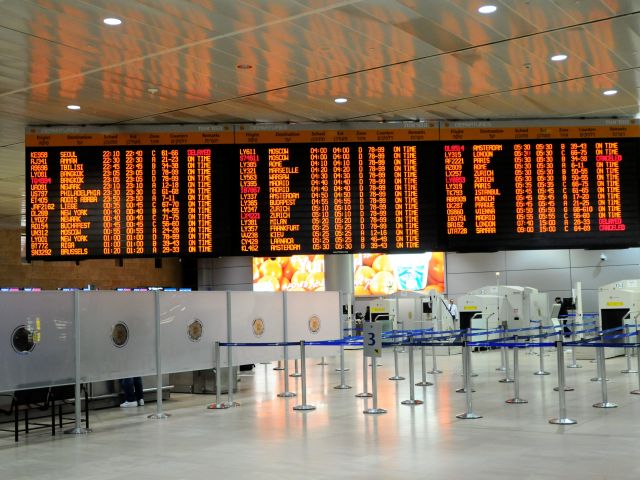 Пропалестинских активистов, не снятых с рейсов, ждут в первом терминале аэропорта