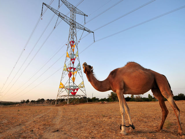 "Хеврат Хашмаль" готовится к жаркому лету: ожидаются сбои электроснабжения