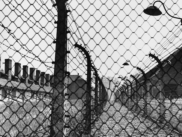 Die Welt: Воспоминания об Освенциме должны стать предостережением