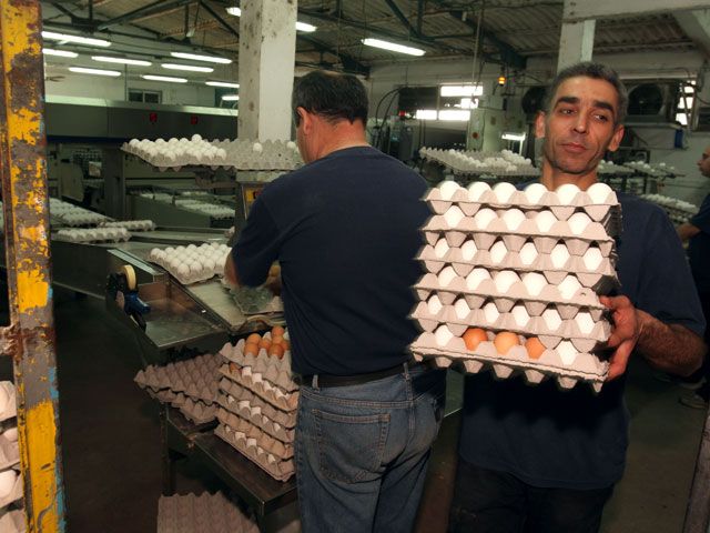 OECD: израильтяне обожают овощи и сладости и не любят яйца