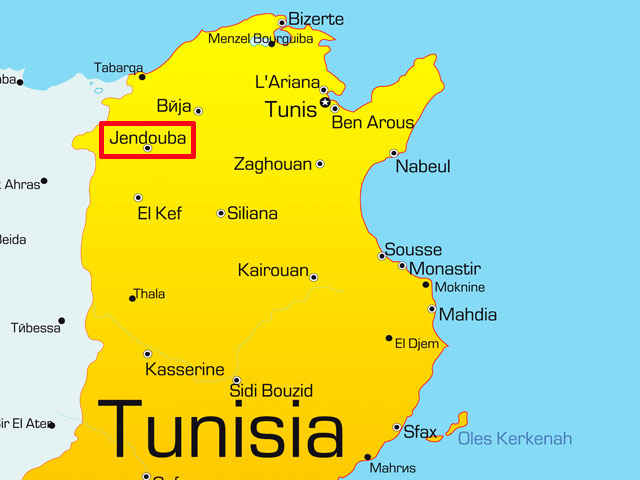 В городе Джендуба, на северо-западе Туниса, салафисты устроили массовые беспорядки