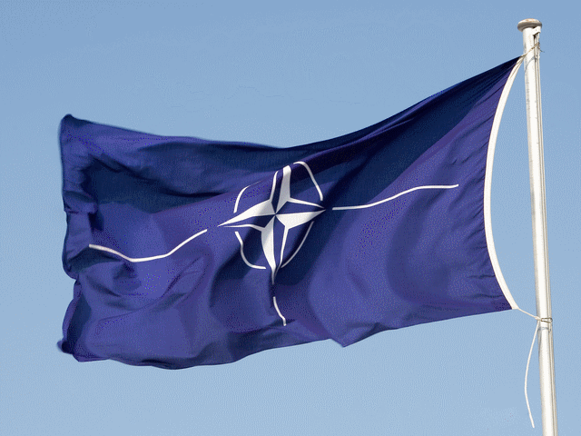 NATO проведет экстренное совещание по сбитому над Сирией турецкому самолету