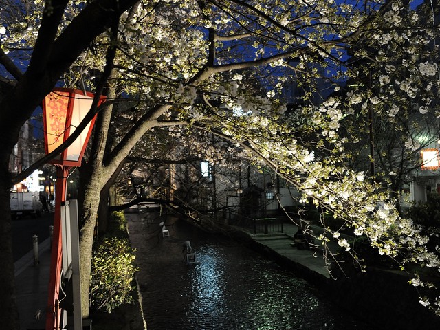 Земля под застройку в Японии предлагается по цене 1,5 доллара за "квадрат"