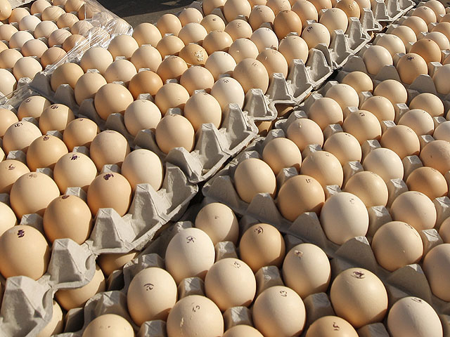 Предъявлены обвинения контрабандистам, привозившим в Израиль куриные яйца из ПНА