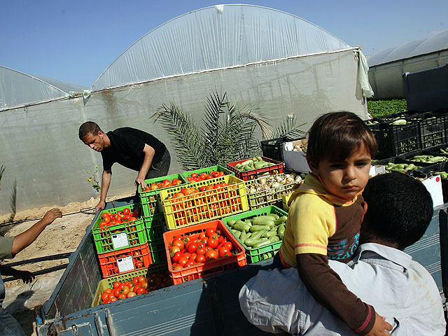 Палестинские инспекторы конфисковали 150 кг поселенческой продукции