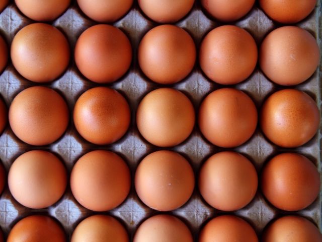 Владельцы птицеферм начинают забастовку: в воскресенье не будет поставок яиц