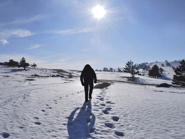 Американские ученые раскрыли тайну "снежного человека"