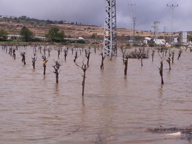 В поселке Бат-Хефер возле Нетании затоплены 200 домов: проводится эвакуация жителей (иллюстрация)
