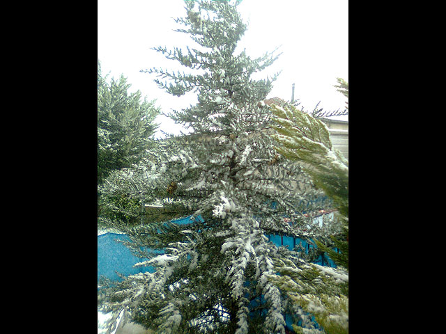 Снег в Цфате