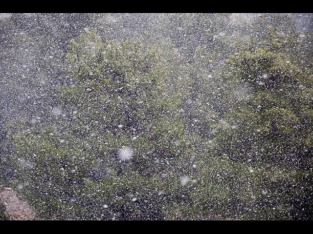 Утренний Цфат