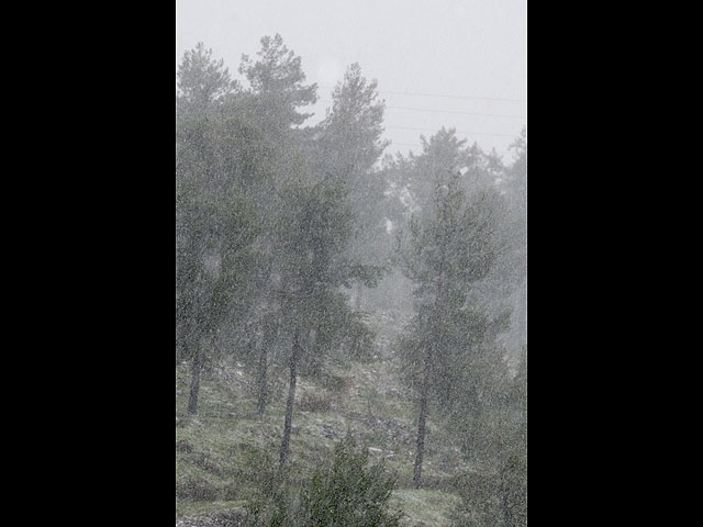 Утренний Цфат