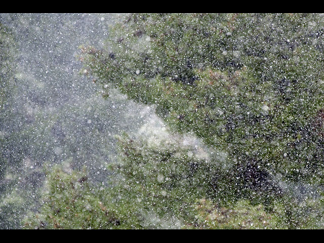 Утренний Цфат