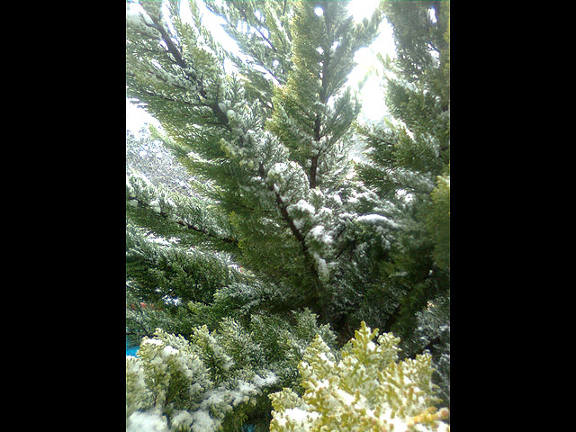 Снег в Цфате