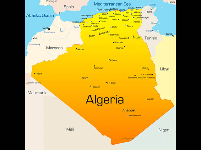 Операция по освобождению заложников в Алжире: 35 человек погибли, 600 - освобождены
