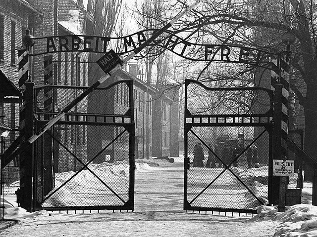 Сестры Каратыгины, назвавшие Холокост "клеем для обоев", побывали в музее Освенцим