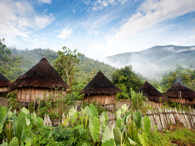 Деревня в Папуа-Новой Гвинее