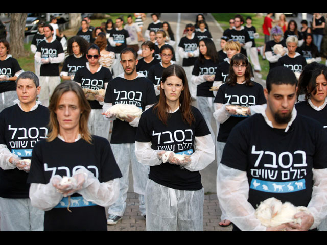 "В страдании все равны": тихая акция протеста защитников животных в Тель-Авиве