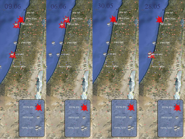 Концентрация медуз около побережья Израиля приближается к опасной отметке