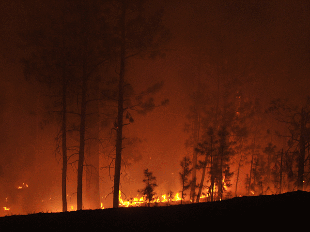 В Колорадо бушуют лесные пожары