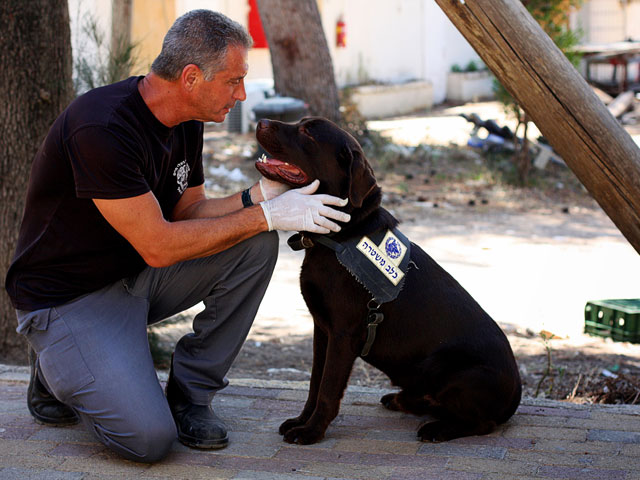 Службы охраны правопорядка еврейского государства используют собак в качестве ищеек &#8211; для обнаружения взрывчатки, денег и наркотиков