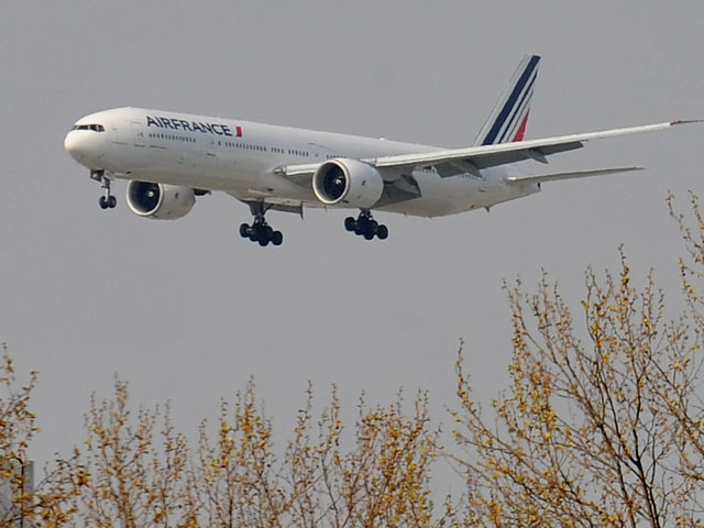 Из самолета Air France, заходившего на посадке в Ниамее, выпал мужчина