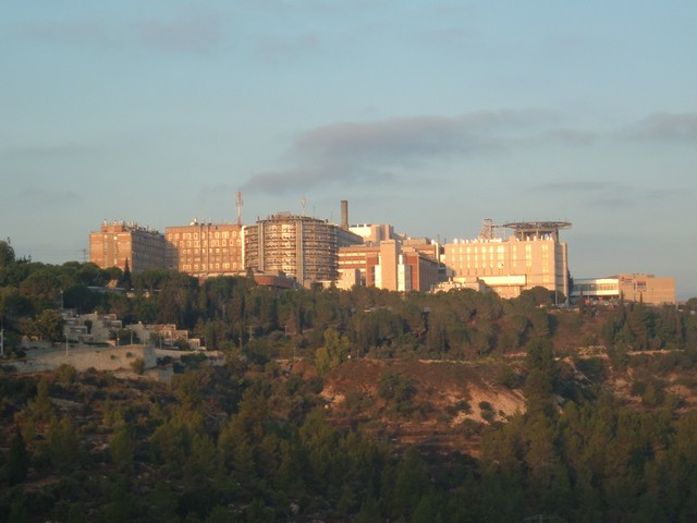 Больница "Адаса Эйн-Карем" (Иерусалим)