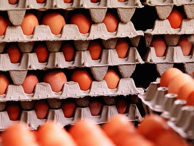 Предотвращена попытка продажи десятков тысяч тухлых яиц с поддельным сроком годности