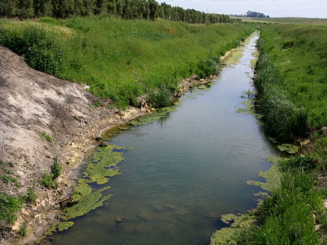 Велосипедист разбился в районе реки Александр