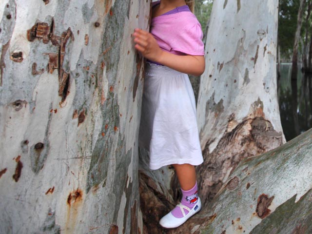 После отдыха на природе родители забыли в лесу четырехлетнюю дочь