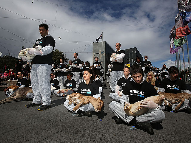 Animal Liberation: правозащитники показали австралийцам трупы животных