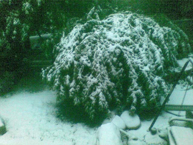 Снег в Гуш-Эционе. 12 декабря 2013 года