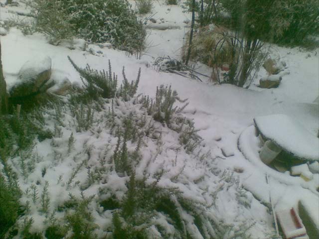 Снег в Гуш-Эционе. 12 декабря 2013 года