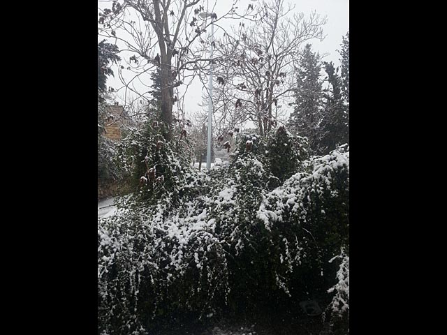 Гиват Царфатит. Иерусалим