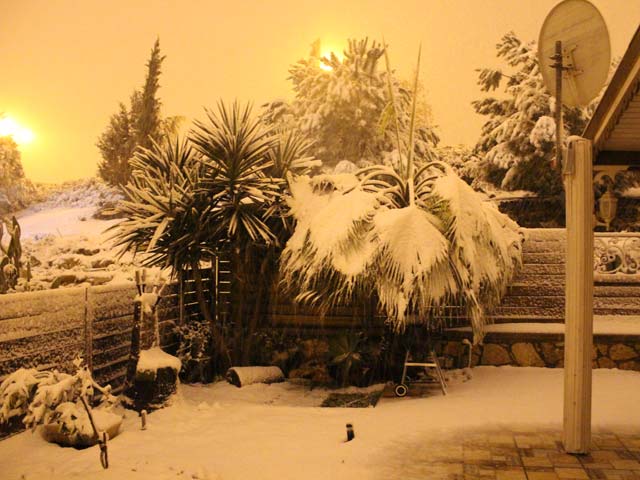 Ариэль